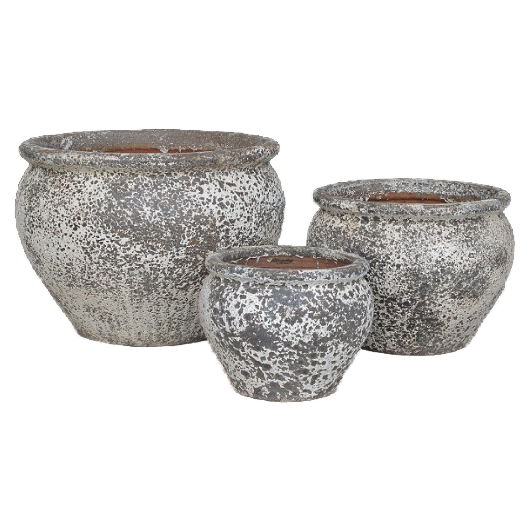 Ancient Classic White Bowl